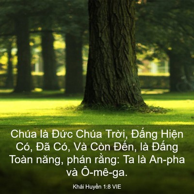 Picture 03 - Khải Huyền 1:8 VIE - Chúa là Đức Chúa Trời, Đấng Hiện - Bible Verse Picture