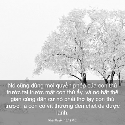 Picture 03 - Khải Huyền 13:12 VIE - Nó cũng dùng mọi quyền phép của con - Bible Verse Picture
