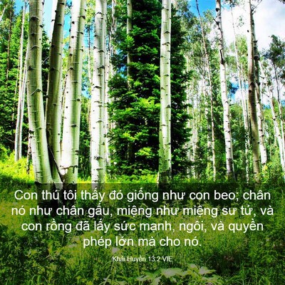 Picture 03 - Khải Huyền 13:2 VIE - Con thú tôi thấy đó giống như con beo; - Bible Verse Picture