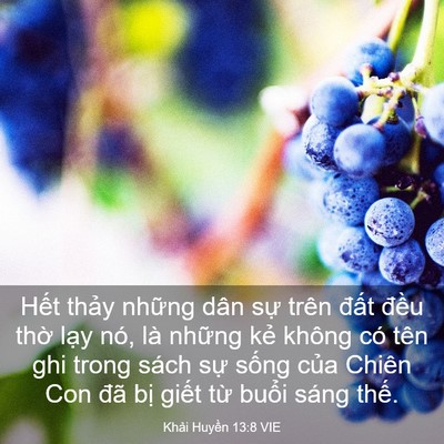 Picture 03 - Khải Huyền 13:8 VIE - Hết thảy những dân sự trên đất - Bible Verse Picture