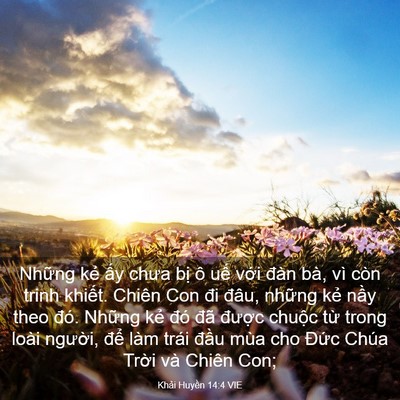 Picture 03 - Khải Huyền 14:4 VIE - Những kẻ ấy chưa bị ô uế với đàn - Bible Verse Picture