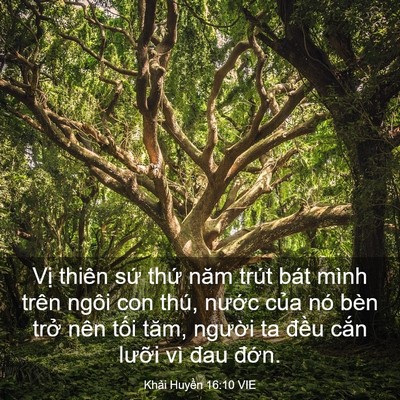 Picture 03 - Khải Huyền 16:10 VIE - Vị thiên sứ thứ năm trút bát mình - Bible Verse Picture