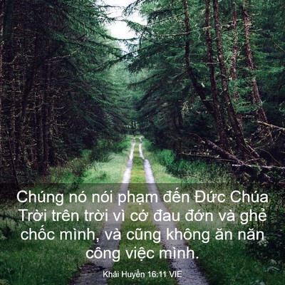 Picture 03 - Khải Huyền 16:11 VIE - Chúng nó nói phạm đến Đức Chúa Trời - Bible Verse Picture