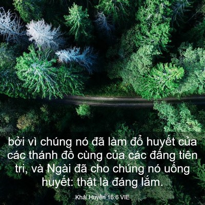 Picture 03 - Khải Huyền 16:6 VIE - bởi vì chúng nó đã làm đổ huyết - Bible Verse Picture
