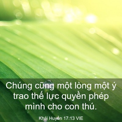 Picture 03 - Khải Huyền 17:13 VIE - Chúng cũng một lòng một ý trao thế - Bible Verse Picture