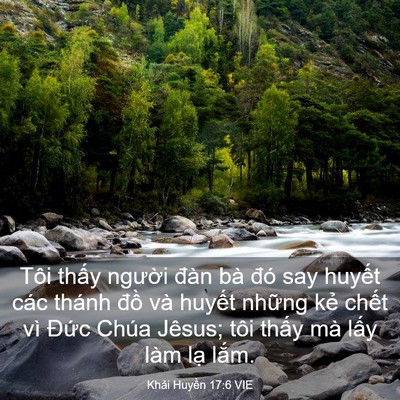 Picture 03 - Khải Huyền 17:6 VIE - Tôi thấy người đàn bà đó say huyết - Bible Verse Picture