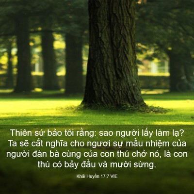 Picture 03 - Khải Huyền 17:7 VIE - Thiên sứ bảo tôi rằng: sao người lấy - Bible Verse Picture