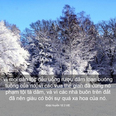 Picture 03 - Khải Huyền 18:3 VIE - vì mọi dân tộc đều uống rượu dâm - Bible Verse Picture