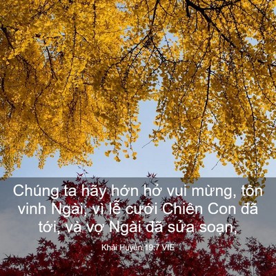 Picture 03 - Khải Huyền 19:7 VIE - Chúng ta hãy hớn hở vui mừng, tôn vinh - Bible Verse Picture