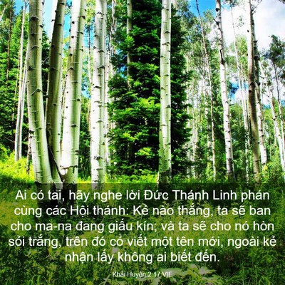 Picture 03 - Khải Huyền 2:17 VIE - Ai có tai, hãy nghe lời Đức Thánh Linh - Bible Verse Picture