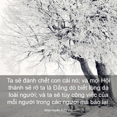 Picture 03 - Khải Huyền 2:23 VIE - Ta sẽ đánh chết con cái nó; và mọi - Bible Verse Picture