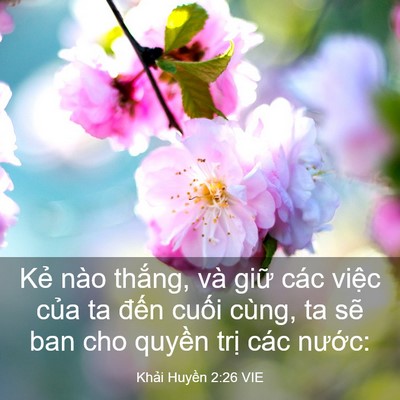 Picture 03 - Khải Huyền 2:26 VIE - Kẻ nào thắng, và giữ các việc của ta - Bible Verse Picture