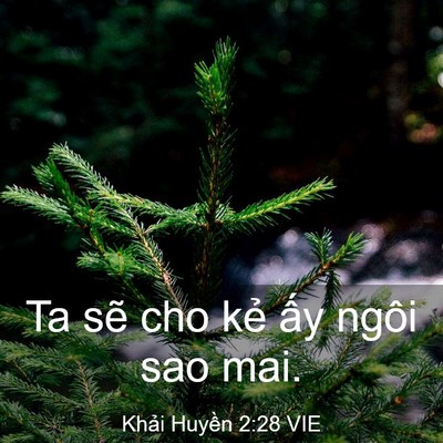 Picture 03 - Khải Huyền 2:28 VIE - Ta sẽ cho kẻ ấy ngôi sao - Bible Verse Picture