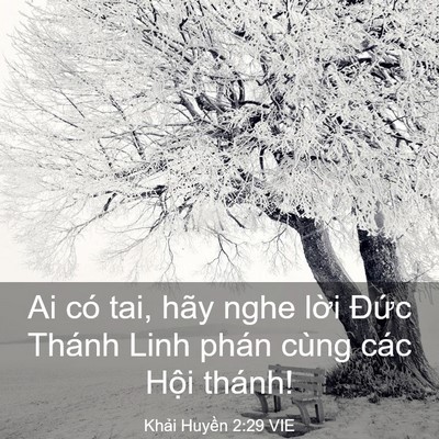 Picture 03 - Khải Huyền 2:29 VIE - Ai có tai, hãy nghe lời Đức Thánh Linh - Bible Verse Picture