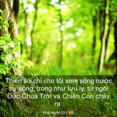 Picture 03 - Khải Huyền 22:1 VIE - Thiên sứ chỉ cho tôi xem sông nước sự - Bible Verse Picture