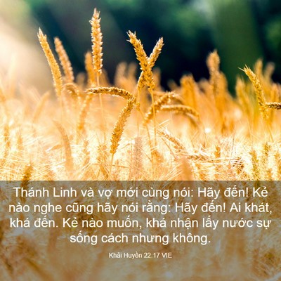Picture 03 - Khải Huyền 22:17 VIE - Thánh Linh và vợ mới cùng nói: Hãy - Bible Verse Picture