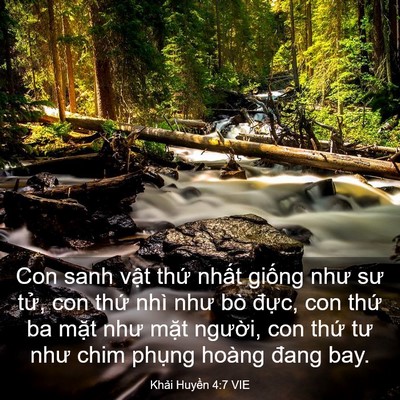 Picture 03 - Khải Huyền 4:7 VIE - Con sanh vật thứ nhất giống như sư - Bible Verse Picture