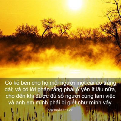 Picture 03 - Khải Huyền 6:11 VIE - Có kẻ bèn cho họ mỗi người một cái - Bible Verse Picture