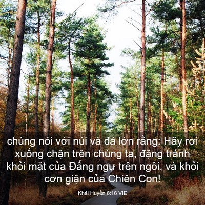 Picture 03 - Khải Huyền 6:16 VIE - chúng nói với núi và đá lớn rằng: - Bible Verse Picture