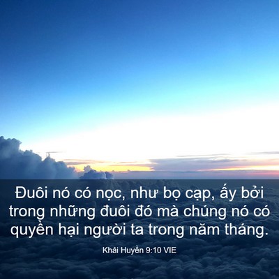 Picture 03 - Khải Huyền 9:10 VIE - Đuôi nó có nọc, như bọ cạp, ấy bởi - Bible Verse Picture