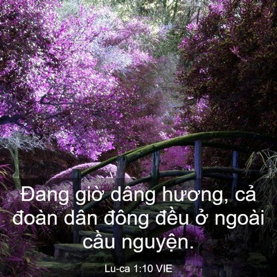 Picture 03 - Lu-ca 1:10 VIE - Đang giờ dâng hương, cả đoàn dân - Bible Verse Picture