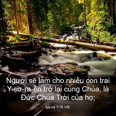Picture 03 - Lu-ca 1:16 VIE - Người sẽ làm cho nhiều con trai - Bible Verse Picture