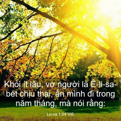 Picture 03 - Lu-ca 1:24 VIE - Khỏi ít lâu, vợ người là Ê-li-sa-bét - Bible Verse Picture