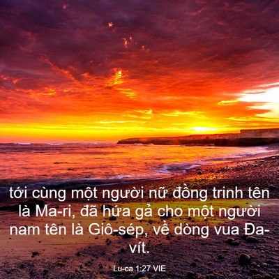 Picture 03 - Lu-ca 1:27 VIE - tới cùng một người nữ đồng trinh - Bible Verse Picture
