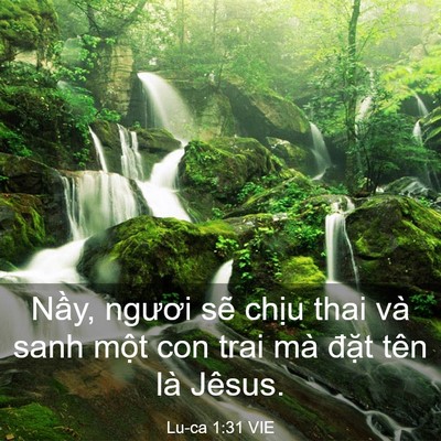 Picture 03 - Lu-ca 1:31 VIE - Nầy, ngươi sẽ chịu thai và sanh một - Bible Verse Picture