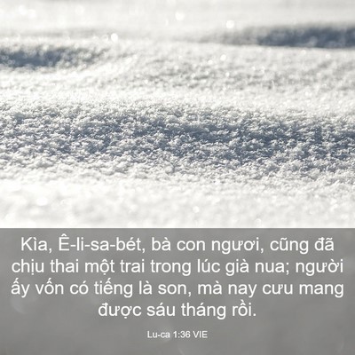 Picture 03 - Lu-ca 1:36 VIE - Kìa, Ê-li-sa-bét, bà con ngươi, cũng đã - Bible Verse Picture