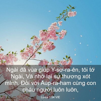 Picture 03 - Lu-ca 1:54 VIE - Ngài đã vùa giúp Y-sơ-ra-ên, tôi tớ - Bible Verse Picture