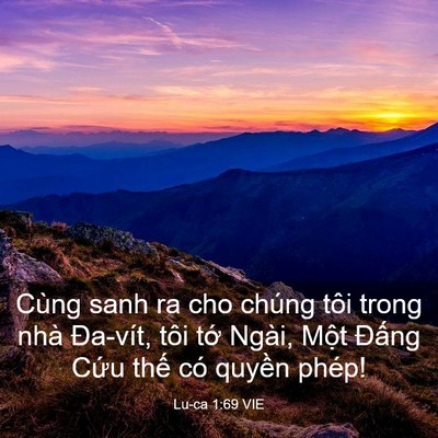 Picture 03 - Lu-ca 1:69 VIE - Cùng sanh ra cho chúng tôi trong nhà - Bible Verse Picture