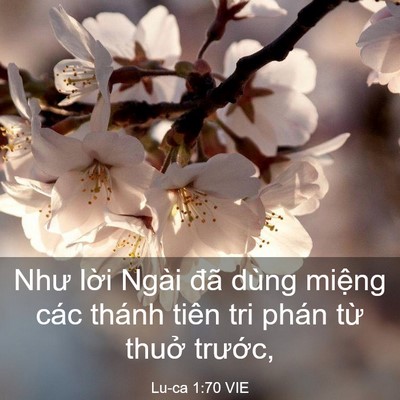 Picture 03 - Lu-ca 1:70 VIE - Như lời Ngài đã dùng miệng các thánh - Bible Verse Picture