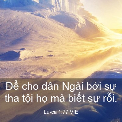 Picture 03 - Lu-ca 1:77 VIE - Để cho dân Ngài bởi sự tha tội họ - Bible Verse Picture