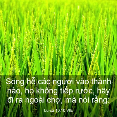 Picture 03 - Lu-ca 10:10 VIE - Song hễ các ngươi vào thành nào, họ - Bible Verse Picture