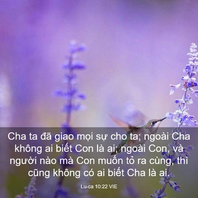 Picture 03 - Lu-ca 10:22 VIE - Cha ta đã giao mọi sự cho ta; ngoài Cha - Bible Verse Picture