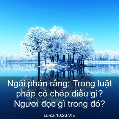 Picture 03 - Lu-ca 10:26 VIE - Ngài phán rằng: Trong luật pháp có chép - Bible Verse Picture
