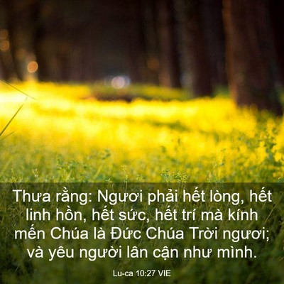 Picture 03 - Lu-ca 10:27 VIE - Thưa rằng: Ngươi phải hết lòng, hết - Bible Verse Picture
