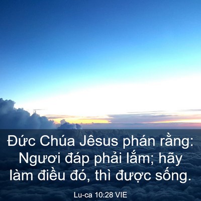 Picture 03 - Lu-ca 10:28 VIE - Đức Chúa Jêsus phán rằng: Ngươi đáp - Bible Verse Picture