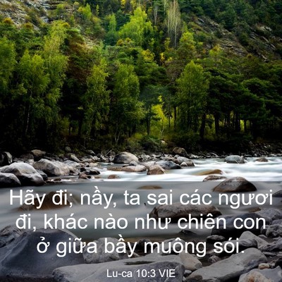Picture 03 - Lu-ca 10:3 VIE - Hãy đi; nầy, ta sai các ngươi đi, khác - Bible Verse Picture