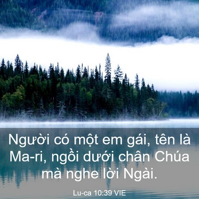Picture 03 - Lu-ca 10:39 VIE - Người có một em gái, tên là Ma-ri, - Bible Verse Picture