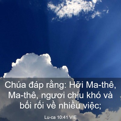 Picture 03 - Lu-ca 10:41 VIE - Chúa đáp rằng: Hỡi Ma-thê, Ma-thê, - Bible Verse Picture