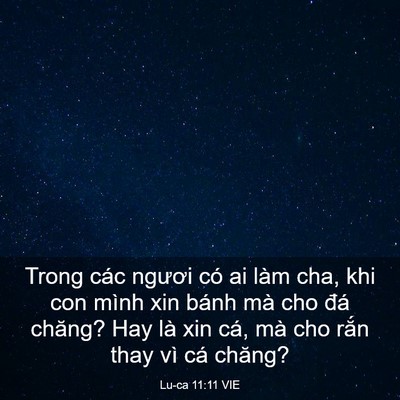 Picture 03 - Lu-ca 11:11 VIE - Trong các ngươi có ai làm cha, khi con mình - Bible Verse Picture