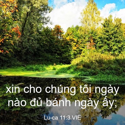Picture 03 - Lu-ca 11:3 VIE - xin cho chúng tôi ngày nào đủ bánh ngày - Bible Verse Picture