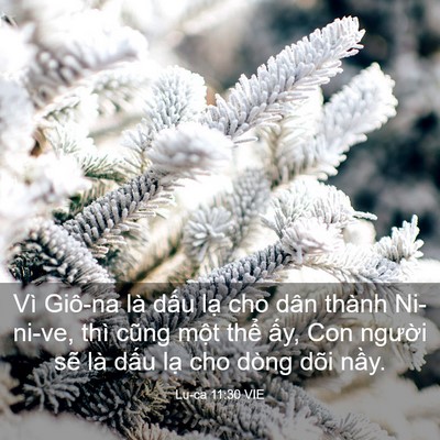Picture 03 - Lu-ca 11:30 VIE - Vì Giô-na là dấu lạ cho dân thành - Bible Verse Picture
