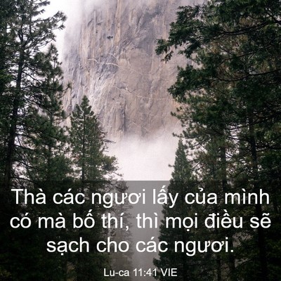 Picture 03 - Lu-ca 11:41 VIE - Thà các ngươi lấy của mình có mà bố - Bible Verse Picture