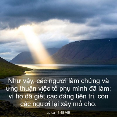 Picture 03 - Lu-ca 11:48 VIE - Như vậy, các ngươi làm chứng và ưng - Bible Verse Picture