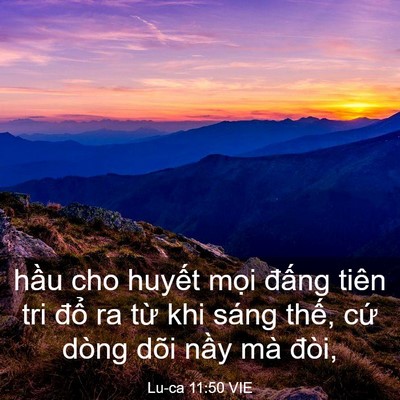 Picture 03 - Lu-ca 11:50 VIE - hầu cho huyết mọi đấng tiên tri đổ - Bible Verse Picture