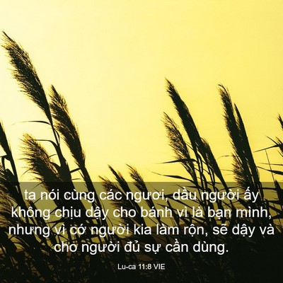 Picture 03 - Lu-ca 11:8 VIE - ta nói cùng các ngươi, dầu người ấy - Bible Verse Picture
