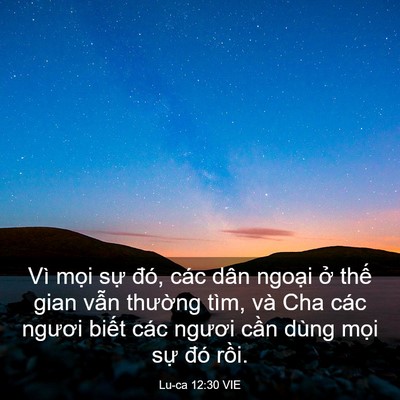 Picture 03 - Lu-ca 12:30 VIE - Vì mọi sự đó, các dân ngoại ở thế - Bible Verse Picture